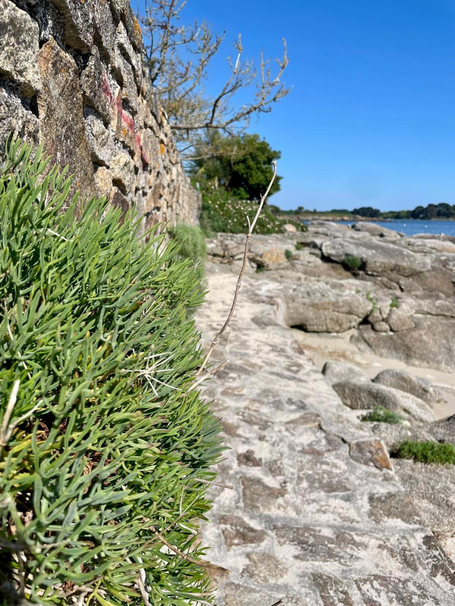2 Maisons De Vacances Sittelles Lodge Concarneau Exteriér fotografie