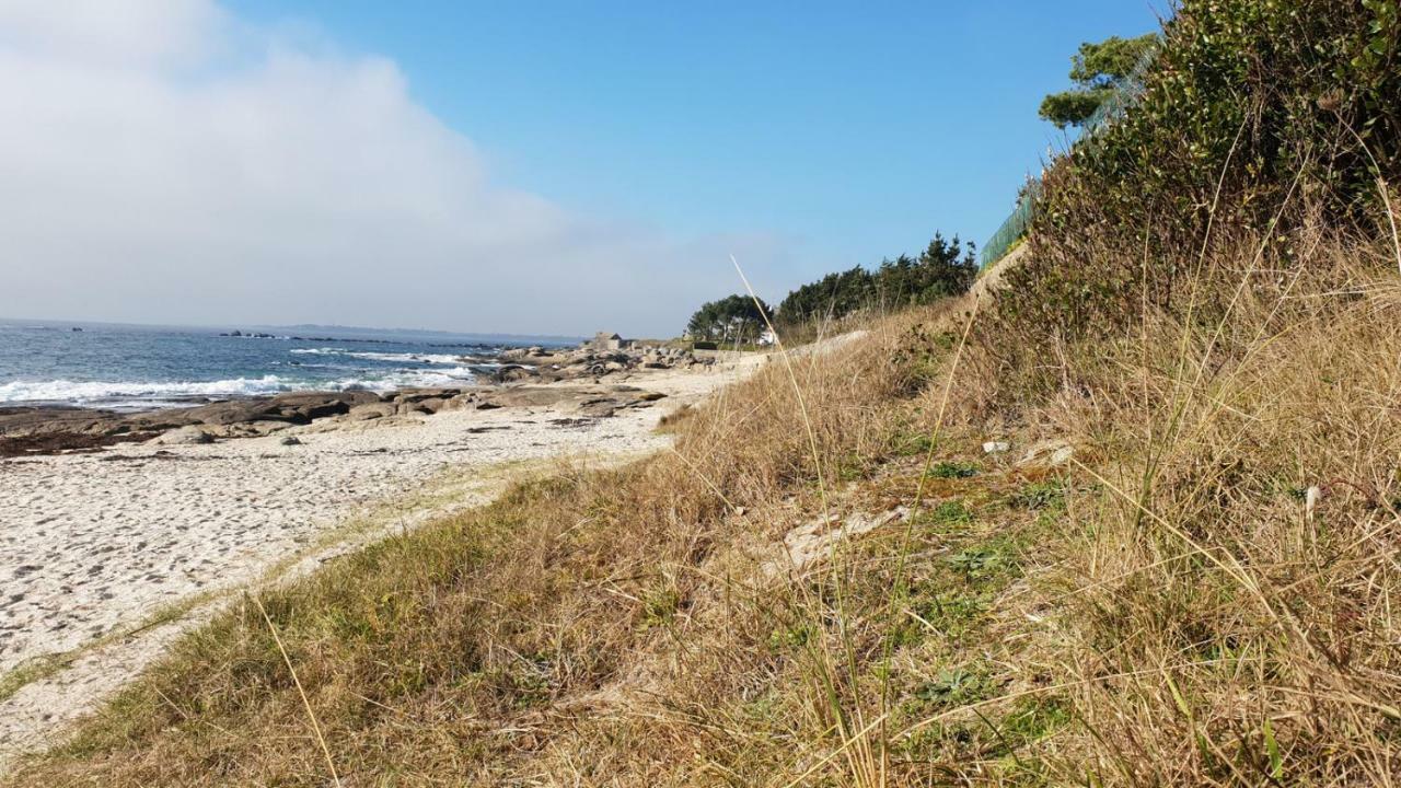 2 Maisons De Vacances Sittelles Lodge Concarneau Exteriér fotografie